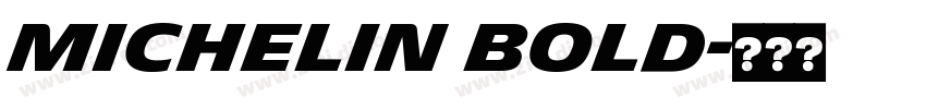 Michelin Bold字体转换